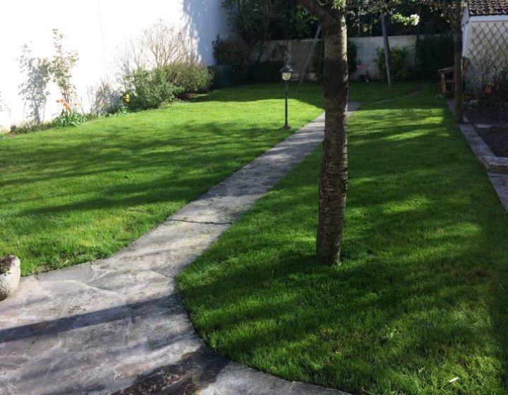 Entretien de jardin Champs-sur-Marne