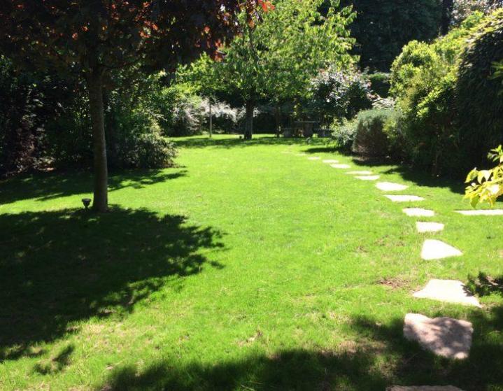 Agencement de jardin Champs-sur-Marne